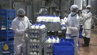 Arab Qatari Company For Dairy Production - Ghadeer