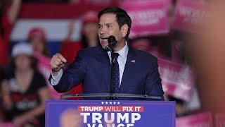 Trump expected to pick Senator Marco Rubio for secretary of state: ABC sources