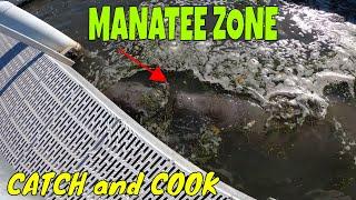 Eat what I catch. A land base Fishing ADVENTURE! I found the MOTHER LOAD of MANATEES. CATCH and COOK