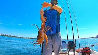 Octopus Catch & Cook + Diving for Sea Urchins