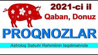 Qaban (Donuz) ilində doğulanların 2021 PROQNOZU