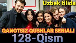 Qanotsiz Qushlar 128-Qism uzbek tilida  Канотсиз Кушлар 128-Кисм узбек тилида