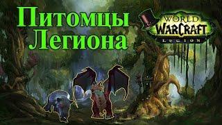 Питомцы Легиона с рарников WOW