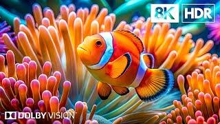 Ethereal Ocean Wonders in 8K HDR | Dolby Vision™
