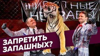 Зоозащитники против дрессировщиков и новый закон о животных / Редакция