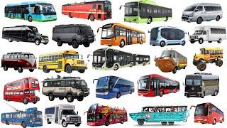 Bus for Kids | School Bus, City Bus, Police Bus, Amphibious Bus | Learn Bus Name, Vehicle Name