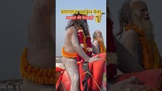 Maha Kumbh 2025  Naga Sadhu mahakumbh prayagraj main | Kumbh Mela #shorts #mahakumbh2025 #prayagraj