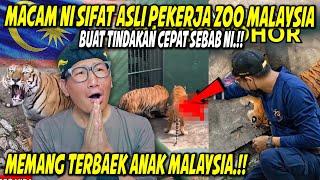 WOOOH⁉️TERHARU TENGOK ZOOKEEPER MALAYSIA INI‼️BEGINI TERNYATA KEBAIKAN ORANG MALAYSIA⁉️