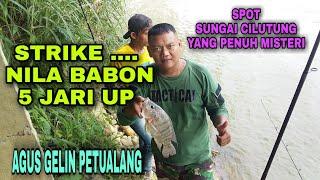 AGUS GELIN PERGI MANCING