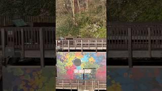 Kent is beautiful #kentohio #kentdown#tiktok#video#viral#ytshorts