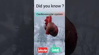 cardiac system #fact#facts#cardio#mbbs#medico#biology#medicine#like#physiology#medschool#medical#bio