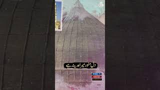 Ali Kashif Sultani | Kya Bataon K Kiya Madina Hai | Beautiful Naat | Aaj Productions