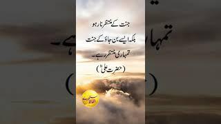 #ImamAli qoutes#youtube#youtubeshorts#ytshorts#babul ilm