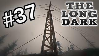 Вдоль линии электропередачи | The long dark | #37