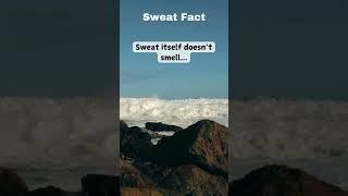 Interesting facts about your sweat. #youtubeshorts #unknownfacts #interestingfacts #vitaminmusic