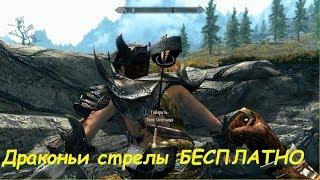 Халявные драконьи стрелы (два способа) в игре TES V: Skyrim