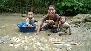 Harvest fish ponds and bring them to the market to sell - make banana cakes for your children to eat