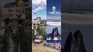 dikkatli bak 