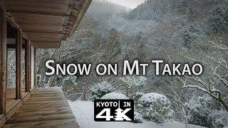 Beautiful Kyoto: Snow Day in Mt. Takao [4K]