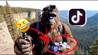 Bigfoot is taking over Tiktok ┃compliation