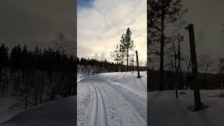 saariselkä Laskettelu murtomaasuksilla lapissa