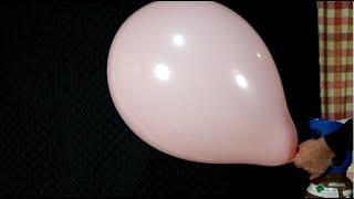 Inflating a pink Qualatex 24 inch balloon with helium