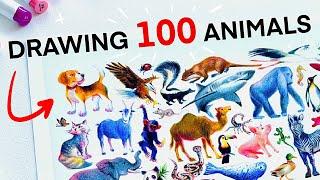 Drawing 100 Animals in 4 DAYS + Ohuhu Markers First Impressions!