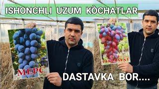 #Uzum_kòchatlar  12 Viloyatga Dastavka  bor ..