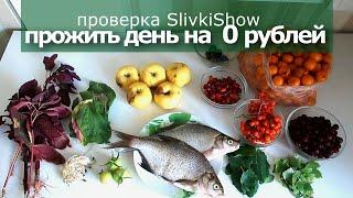 КАК ПРОЖИТЬ ВЕСЬ ДЕНЬ на 0 РУБЛЕЙ. проверка SlivkiShow