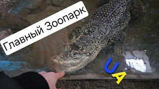 Лучший зоопарк Украины и Киева 