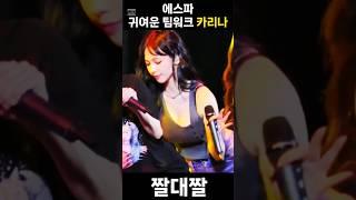 귀여운 팀워크 카리나