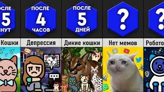 Что, Если Кошки Исчезнут?