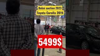 #dubai #dubai2023 #аукцион #dubaiautodrome #дубай #moscow #auction #autoauction #toyotacorolla #4k