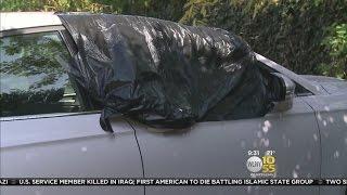 Bay Shore Vehicle Vandalism