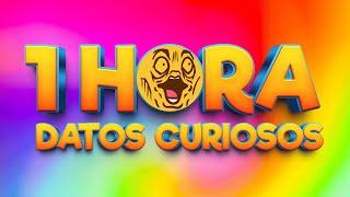 1 HORA DE DATOS CURIOSOS Y CURIOSIDADES! ⏰