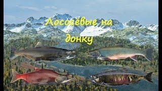 Fishing Planet. Лососёвые на донку. (Каник Крик, Аляска＃FishingPlanet)