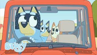 Why Puppies Don't Drive | The Dump | Bluey