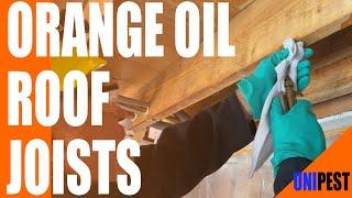 How to Treat Drywood Termites in Patio Cover Joists w/ Orange Oil + Boracare |Santa Clarita Termites