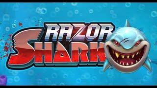 Razor Shark по 10р  х100 и х1000