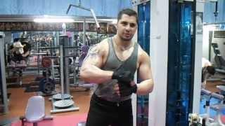 fitness mahmoud sarshane 1