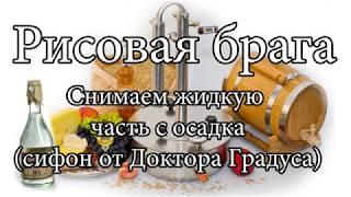 Рисовая брага снимаем жидкую часть с осадка