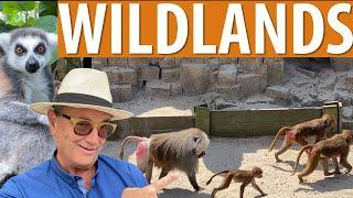 Wildlands Zoo Emmen Netherlands