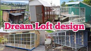 Pigeon Loft design ( DreamLoft )