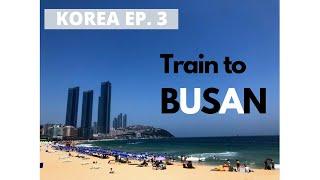 Train to Busan!  부산행