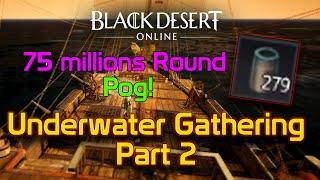 Part 113 | Part 2 Underwater Gathering | How Profitable it is? | Worth? | Casual Lifeskiller Poggers