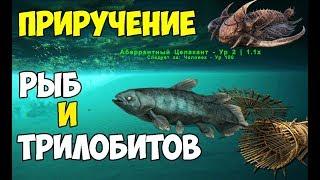 КАК ПРИРУЧИТЬ РЫБУ И ТРИЛОБИТОВ!/HOW TO TAME A COEL ► Ark: Survival Evolved #20