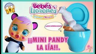 BEBÉS LLORONES LÁGRIMAS MÁGICAS ESPAÑOL #1¡MINI PANDYLA LÍA! 