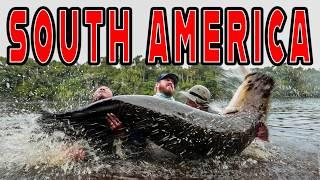 Jungle Monsters! Catching 350+ lb Arapaima + World Record Peacock Bass!