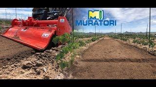 ROTOVATOR MURATORI MZ9