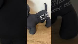 University of Liverpool sausage dog